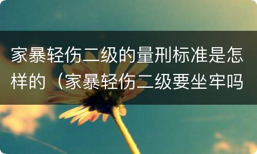 家暴轻伤二级的量刑标准是怎样的（家暴轻伤二级要坐牢吗）