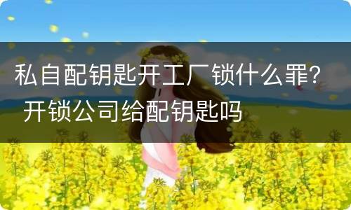 私自配钥匙开工厂锁什么罪？ 开锁公司给配钥匙吗