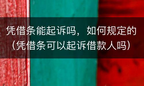 凭借条能起诉吗，如何规定的（凭借条可以起诉借款人吗）
