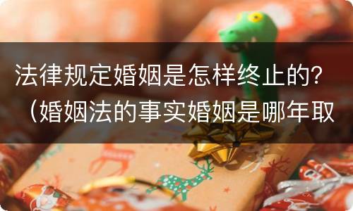 法律规定婚姻是怎样终止的？（婚姻法的事实婚姻是哪年取消的）