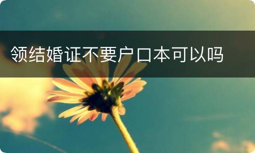 领结婚证不要户口本可以吗