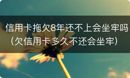 信用卡拖欠8年还不上会坐牢吗（欠信用卡多久不还会坐牢）