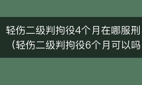 轻伤二级判拘役4个月在哪服刑（轻伤二级判拘役6个月可以吗）