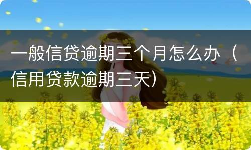 一般信贷逾期三个月怎么办（信用贷款逾期三天）