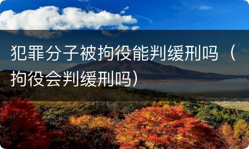 犯罪分子被拘役能判缓刑吗（拘役会判缓刑吗）