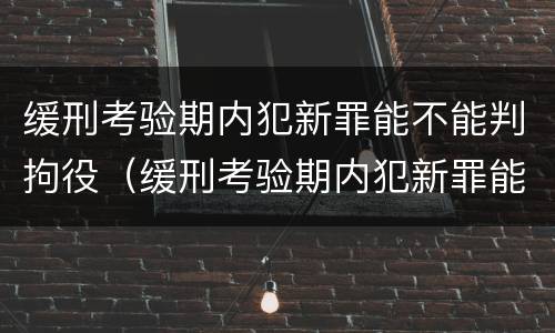 缓刑考验期内犯新罪能不能判拘役（缓刑考验期内犯新罪能不能判拘役呢）