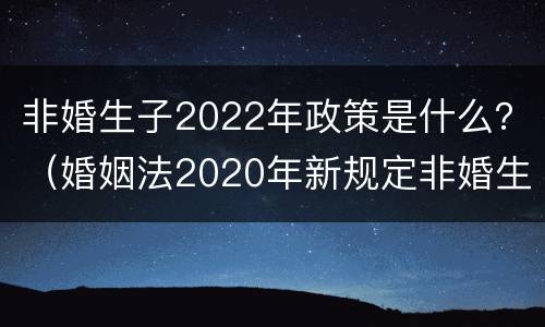 非婚生子2022年政策是什么？（婚姻法2020年新规定非婚生子）