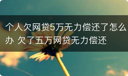 个人欠网贷5万无力偿还了怎么办 欠了五万网贷无力偿还