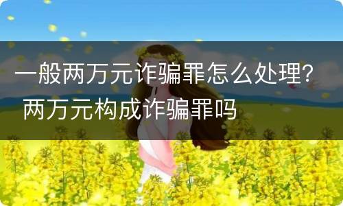 一般两万元诈骗罪怎么处理？ 两万元构成诈骗罪吗