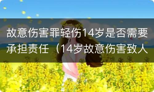 故意伤害罪轻伤14岁是否需要承担责任（14岁故意伤害致人轻伤）