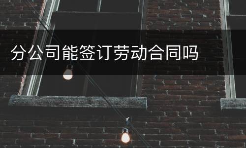 分公司能签订劳动合同吗