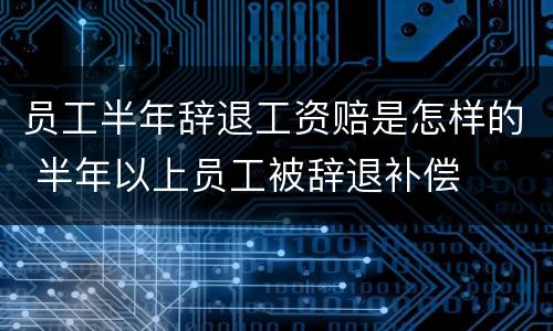 员工半年辞退工资赔是怎样的 半年以上员工被辞退补偿