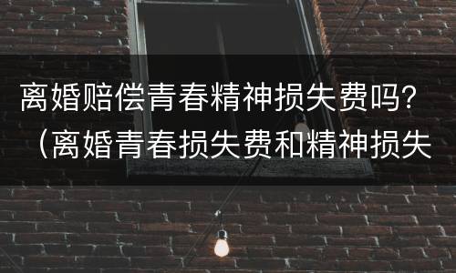离婚赔偿青春精神损失费吗？（离婚青春损失费和精神损失费能拿多少）