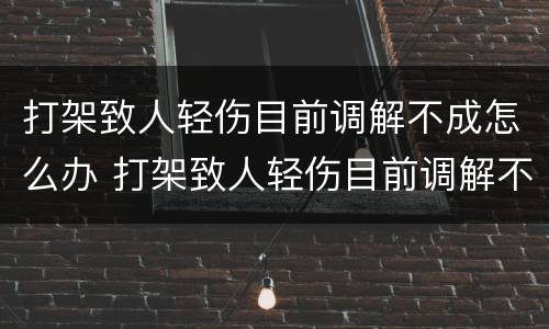 打架致人轻伤目前调解不成怎么办 打架致人轻伤目前调解不成怎么办呀