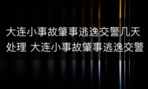 大连小事故肇事逃逸交警几天处理 大连小事故肇事逃逸交警几天处理结果