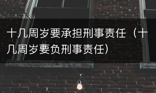 十几周岁要承担刑事责任（十几周岁要负刑事责任）