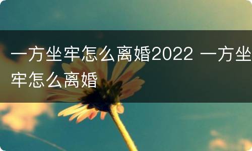 一方坐牢怎么离婚2022 一方坐牢怎么离婚