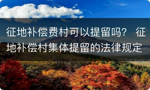 征地补偿费村可以提留吗？ 征地补偿村集体提留的法律规定