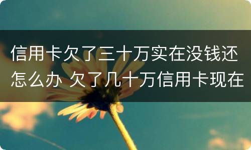 信用卡欠了三十万实在没钱还怎么办 欠了几十万信用卡现在没有钱还怎么办
