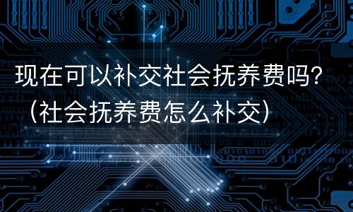 现在可以补交社会抚养费吗？（社会抚养费怎么补交）