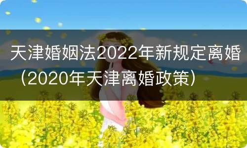 天津婚姻法2022年新规定离婚（2020年天津离婚政策）