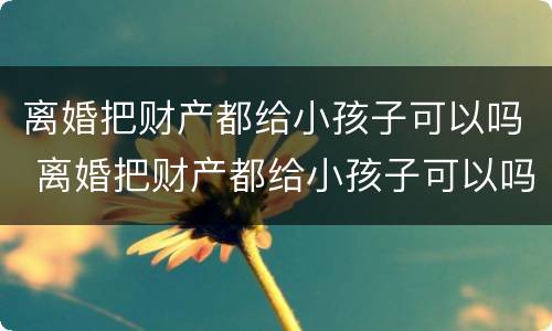 离婚把财产都给小孩子可以吗 离婚把财产都给小孩子可以吗