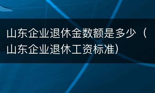 山东企业退休金数额是多少（山东企业退休工资标准）