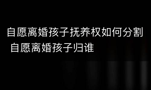 自愿离婚孩子抚养权如何分割 自愿离婚孩子归谁
