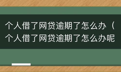 个人借了网贷逾期了怎么办（个人借了网贷逾期了怎么办呢）