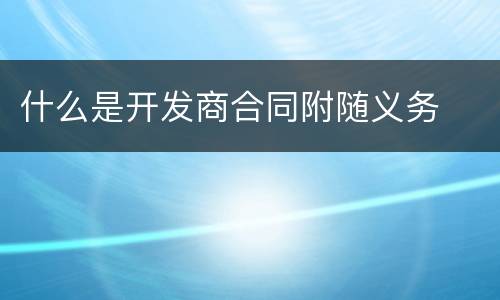 什么是开发商合同附随义务