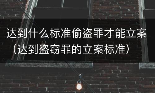 达到什么标准偷盗罪才能立案（达到盗窃罪的立案标准）