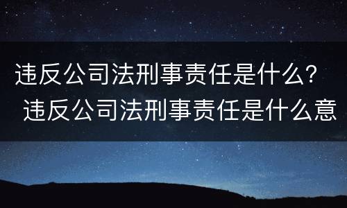违反公司法刑事责任是什么？ 违反公司法刑事责任是什么意思