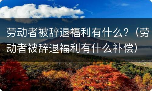 劳动者被辞退福利有什么?（劳动者被辞退福利有什么补偿）