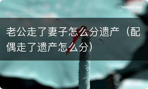 老公走了妻子怎么分遗产（配偶走了遗产怎么分）