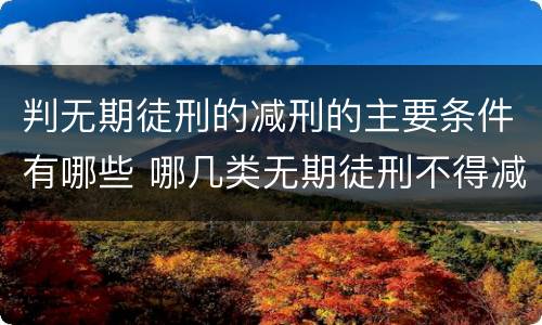 判无期徒刑的减刑的主要条件有哪些 哪几类无期徒刑不得减刑
