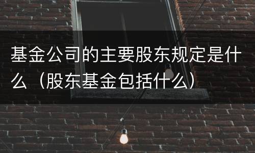 基金公司的主要股东规定是什么（股东基金包括什么）