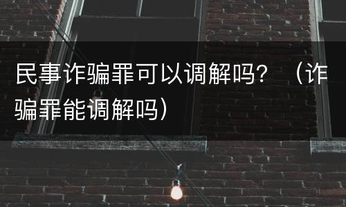 民事诈骗罪可以调解吗？（诈骗罪能调解吗）
