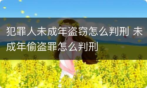 犯罪人未成年盗窃怎么判刑 未成年偷盗罪怎么判刑