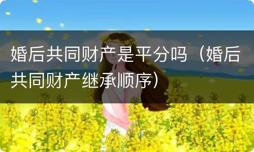 婚后共同财产是平分吗（婚后共同财产继承顺序）