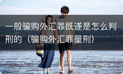 一般骗购外汇罪既遂是怎么判刑的（骗购外汇罪量刑）