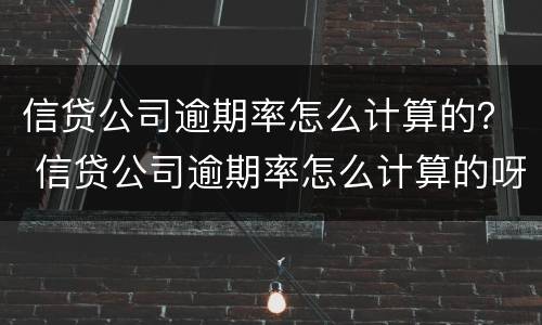 信贷公司逾期率怎么计算的？ 信贷公司逾期率怎么计算的呀