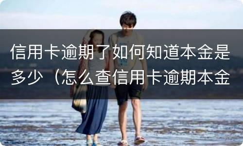 信用卡逾期了如何知道本金是多少（怎么查信用卡逾期本金）