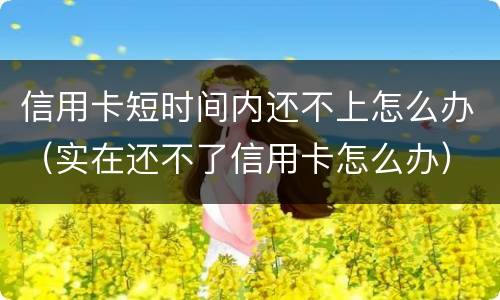信用卡短时间内还不上怎么办（实在还不了信用卡怎么办）