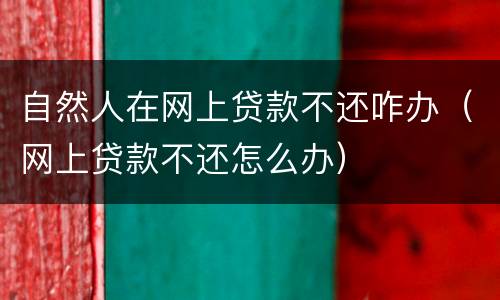 自然人在网上贷款不还咋办（网上贷款不还怎么办）