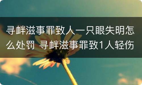 寻衅滋事罪致人一只眼失明怎么处罚 寻衅滋事罪致1人轻伤