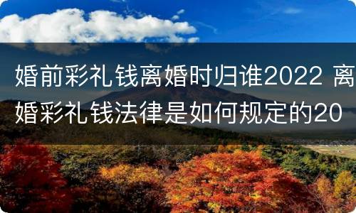 婚前彩礼钱离婚时归谁2022 离婚彩礼钱法律是如何规定的2021