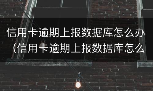 信用卡逾期上报数据库怎么办（信用卡逾期上报数据库怎么办啊）