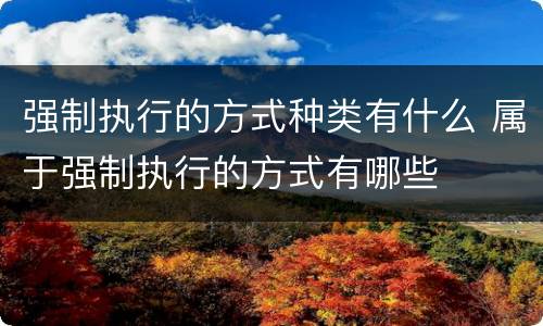 强制执行的方式种类有什么 属于强制执行的方式有哪些