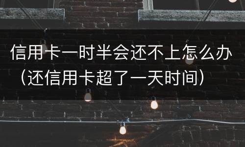 信用卡一时半会还不上怎么办（还信用卡超了一天时间）