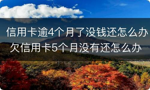 信用卡逾4个月了没钱还怎么办 欠信用卡5个月没有还怎么办